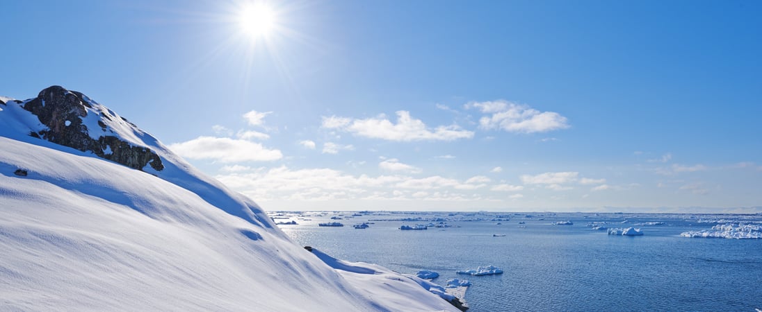Antarctica Day
