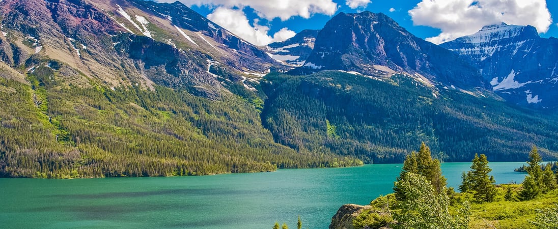 National Montana Day