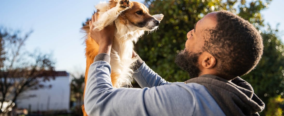 Bond With Your Dog Day