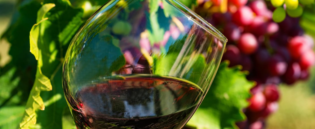 Beaujolais Nouveau Day