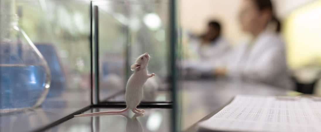 World Day For Animals In Laboratories