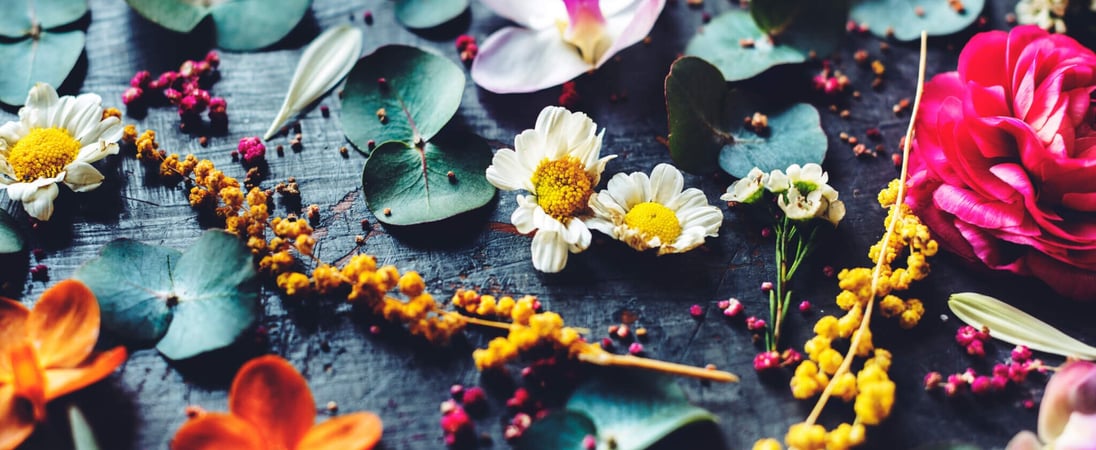 Flower Day