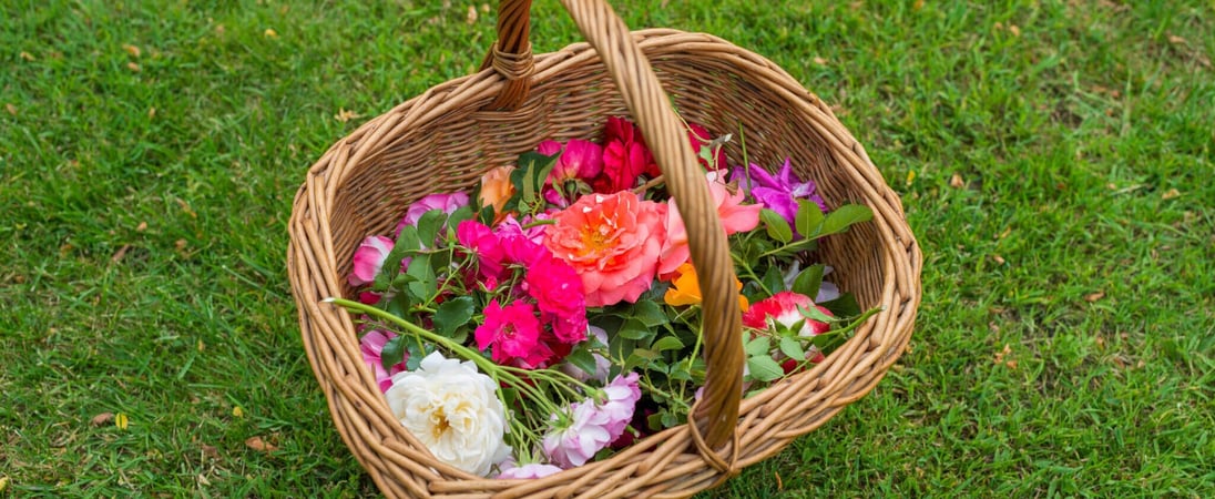 Free Flower Basket Day