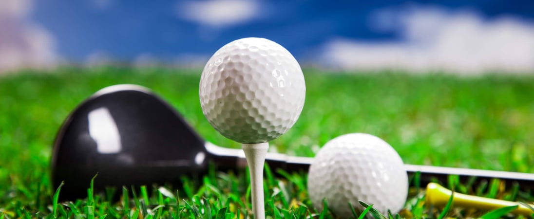 National Mulligan Day