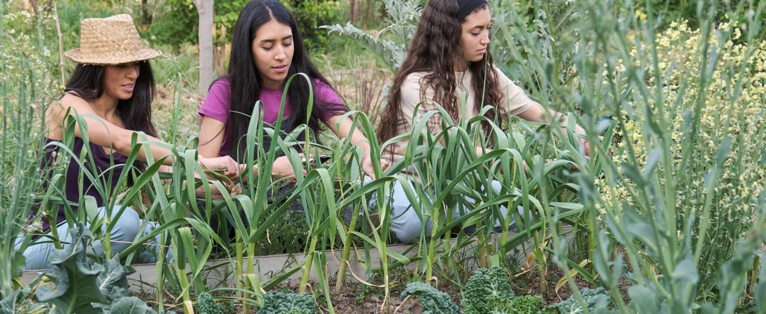 International Permaculture Day