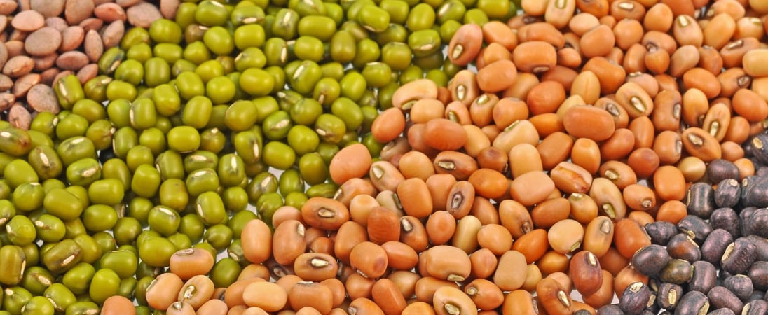 International Year of Pulses