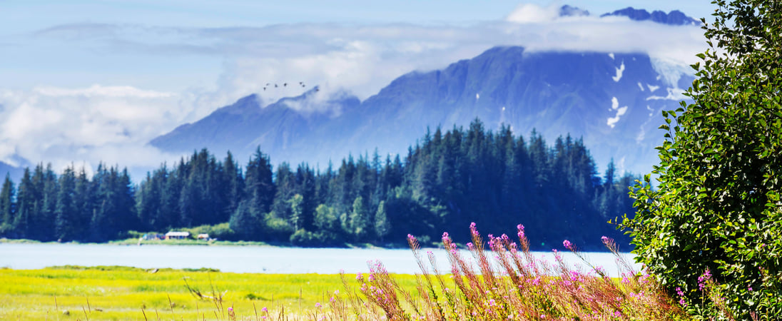National Alaska Day