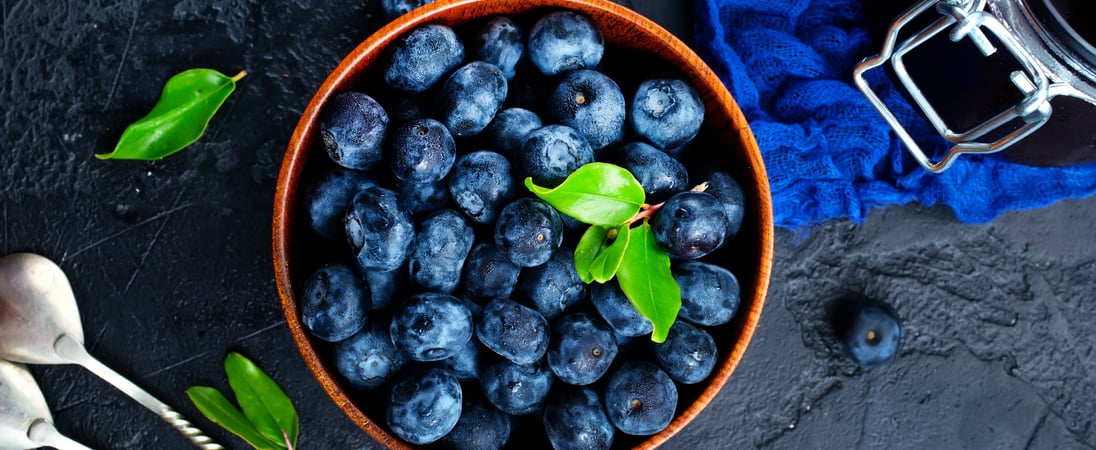 National Blueberry Day