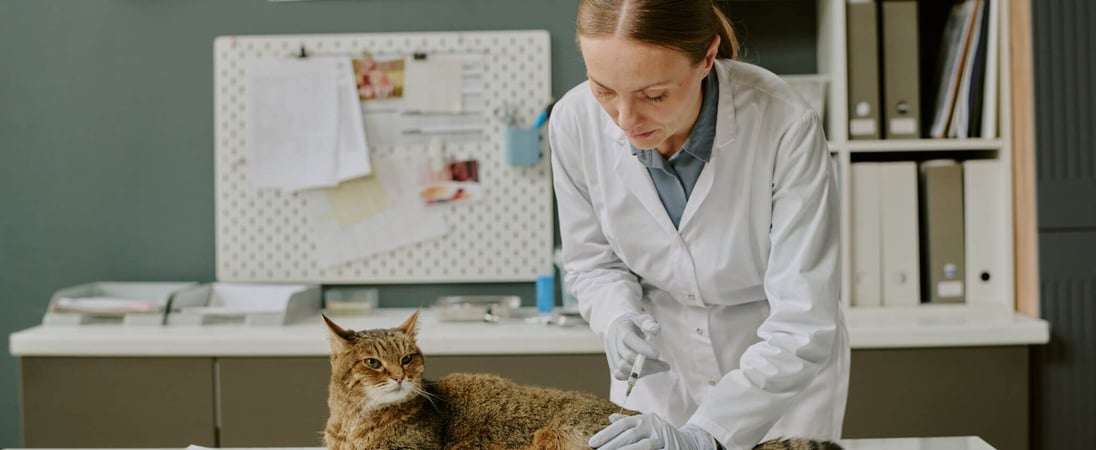 National Cat DNA Day