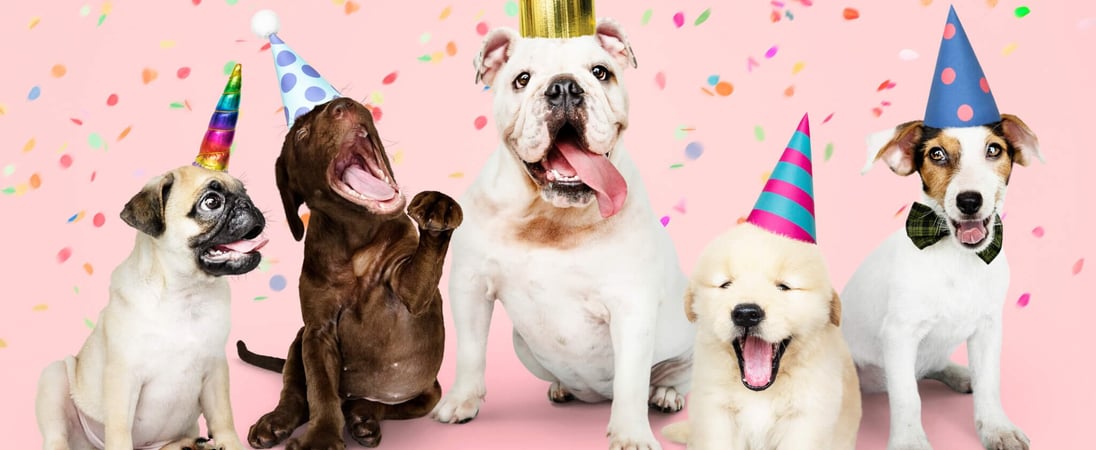 National Dog Party Day