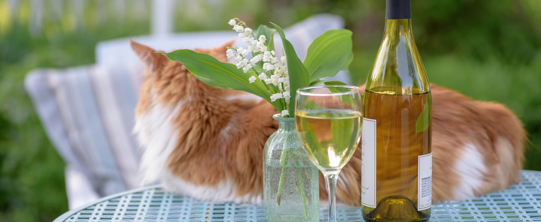 National Drink Wine with Your Cat Week