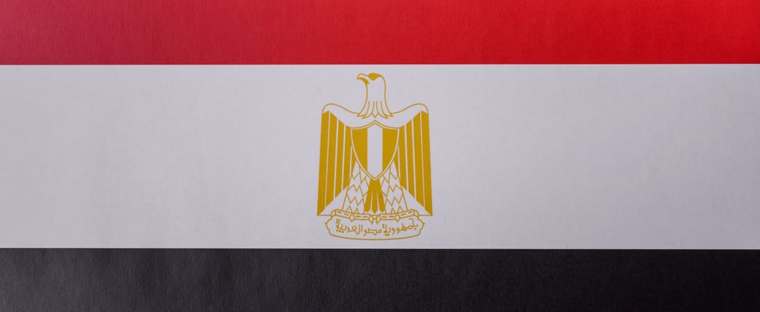 National Egyptian Day