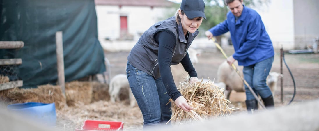 National Farm Rescuer Day