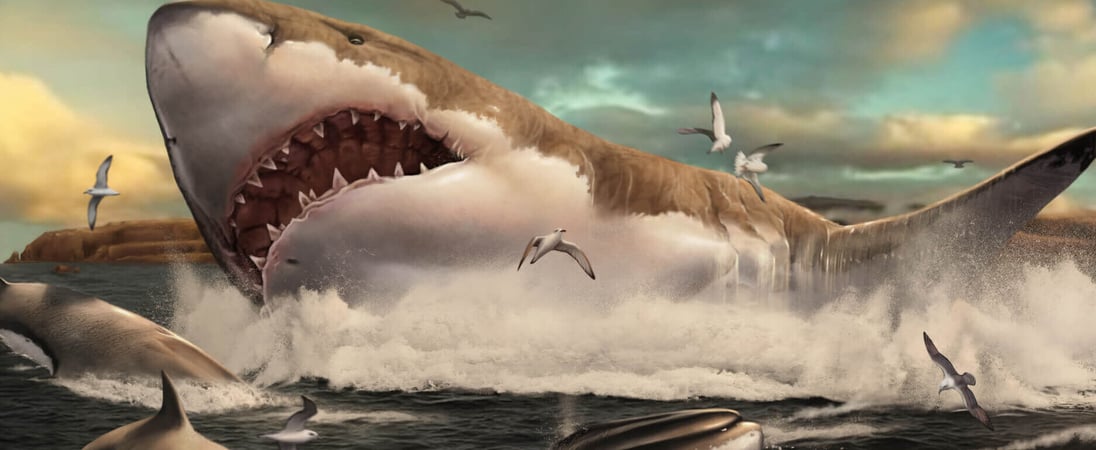 National Megalodon Day