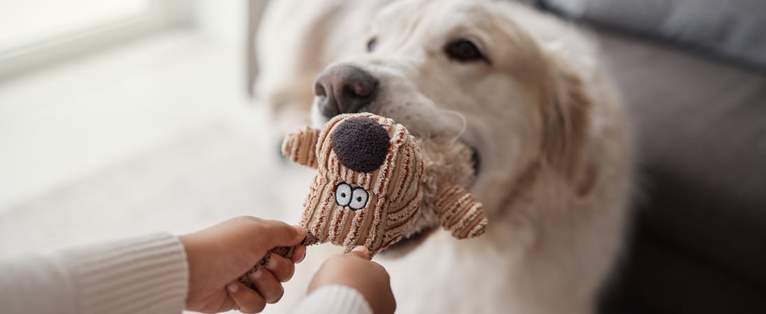 National Pet Choking Prevention Day