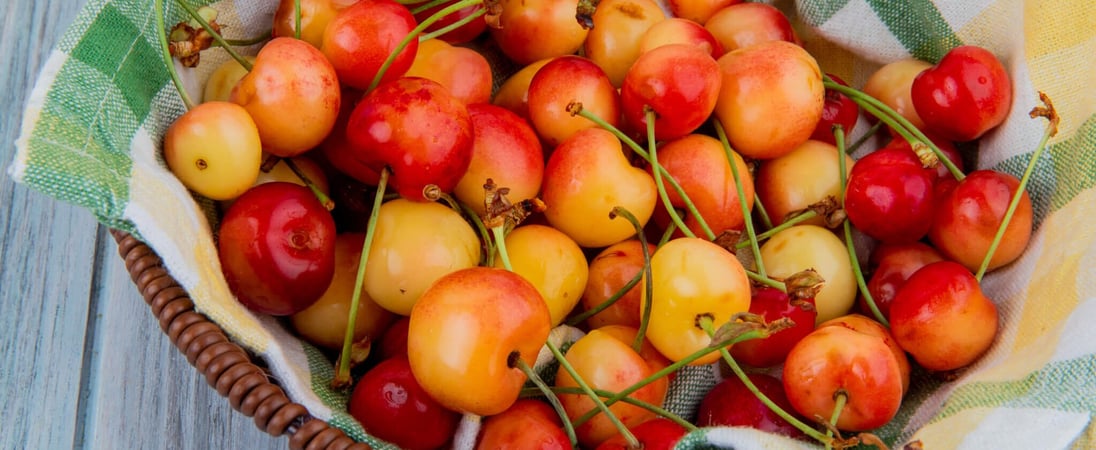 National Rainier Cherry Day