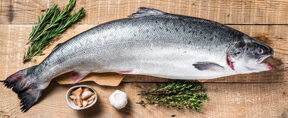National Salmon Day