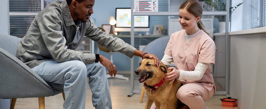 National Therapy Animal Day