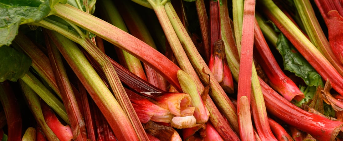 Rhubarb Month