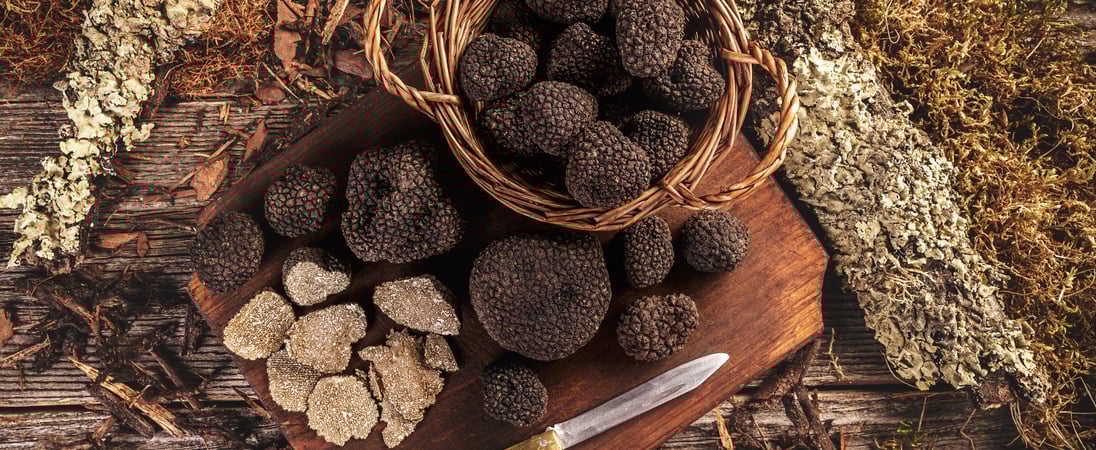 Truffle Days in Croatia