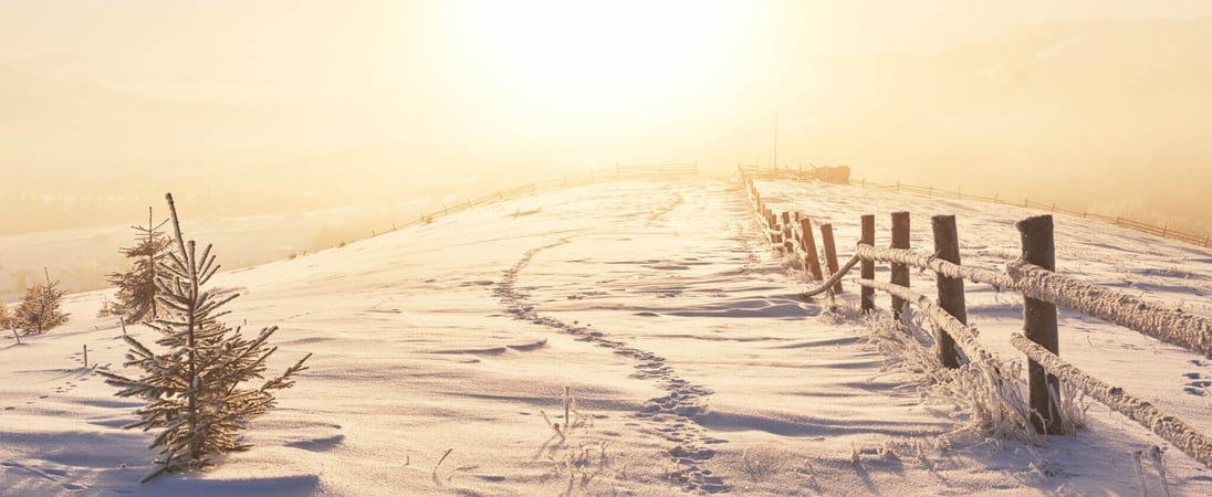 Winter Solstice