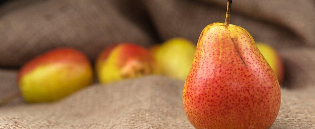World Pear Day