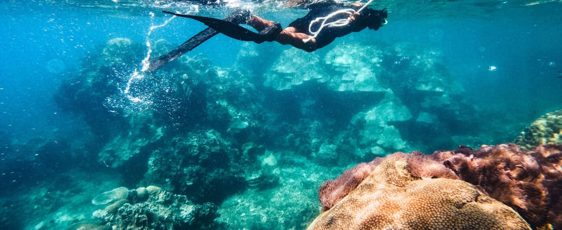 World Snorkeling Day