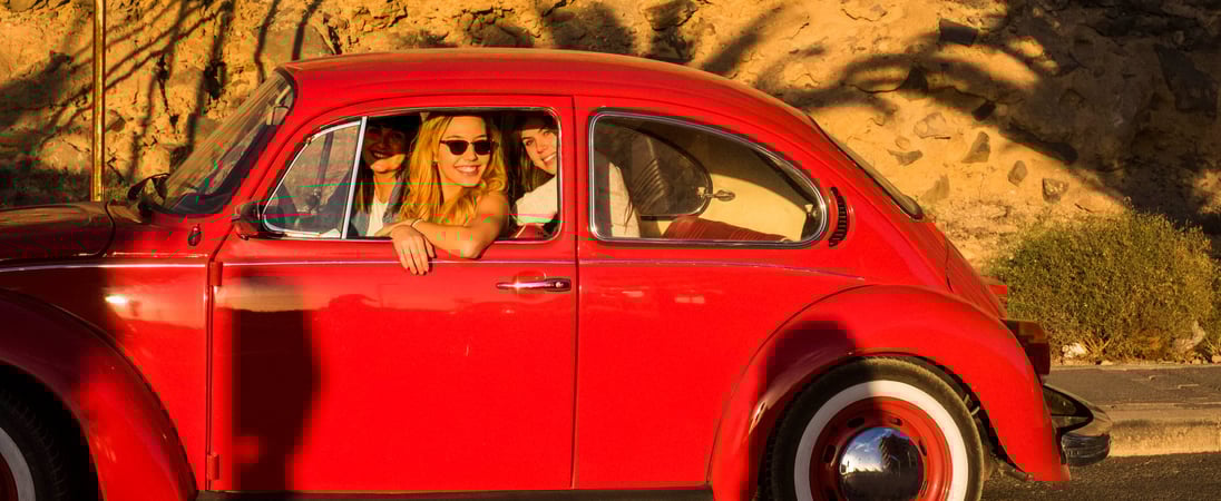 World VW Beetle Day