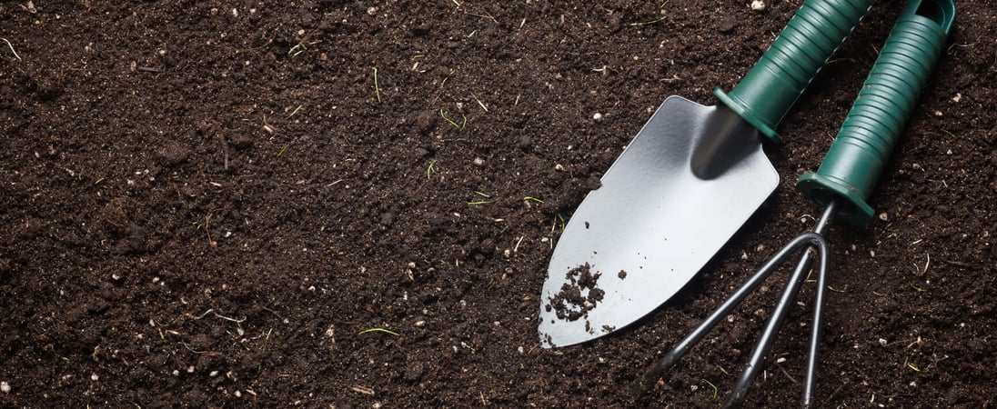 Year of Soils