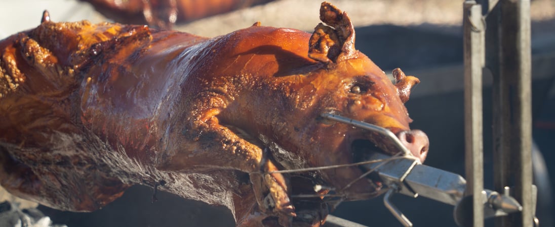 ​National Whole Hog Barbecue Day