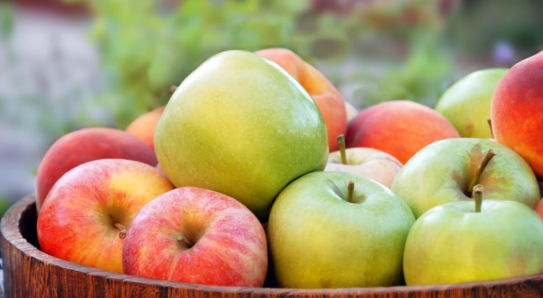 National Holidays on October 21st, 2025 Days Of The Year
