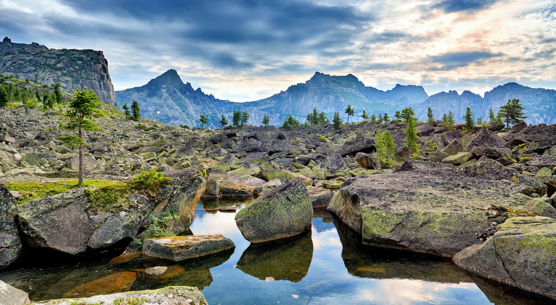 National Holidays on April 8th 2025 Days Of The Year