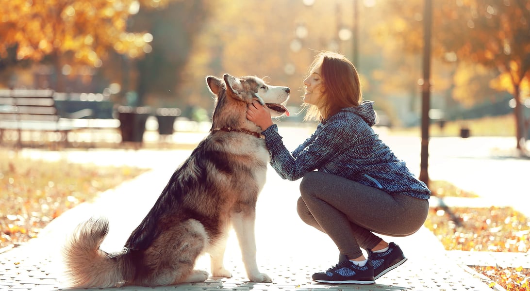National Mail Order Catalog Day (August 18th) Days Of The Year
