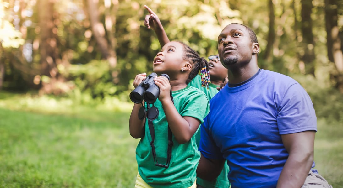 World Parrot Day (May 31st) Days Of The Year
