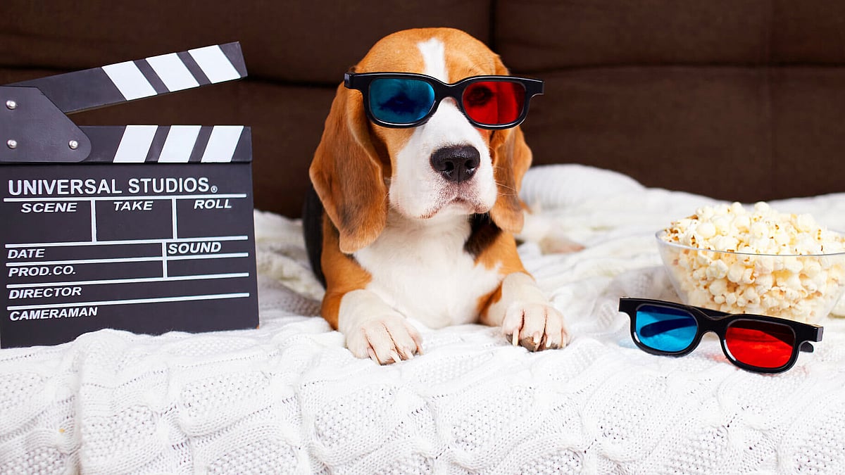 National Pets in Film Day (June 19th) | Days Of The Year
