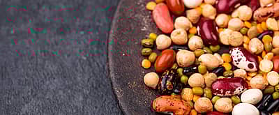 Beans Month July 2025 Days Of The Year Beans Month 1