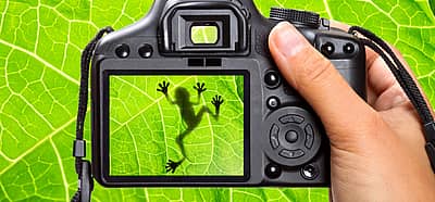 Nature Photography Day (June 15th) Days Of The Year