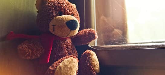 Bring Your Teddy Bear To Work & School Day