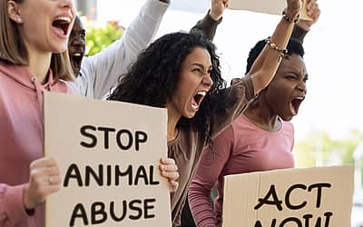 Animal Rights Awareness Week