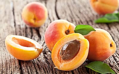 National Apricot Day