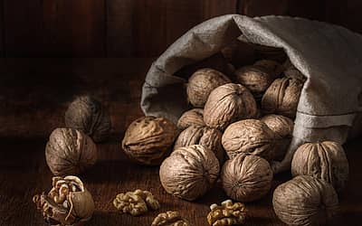 National Walnut Day