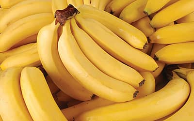 National Banana Day