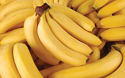 National Banana Lovers Day