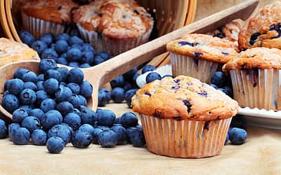 National Blueberry Muffin Day