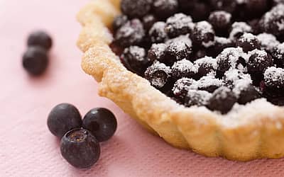 National Blueberry Pie Day