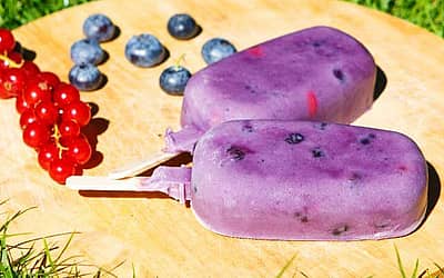 National Blueberry Popsicle Day