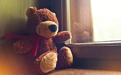 Bring Your Teddy Bear To Work & School Day