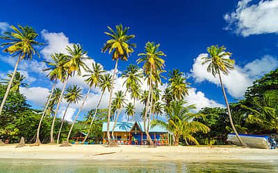 Caribbean American Heritage Month