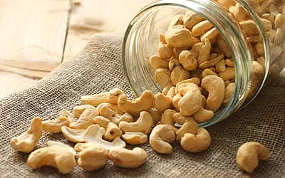 National Cashew Day