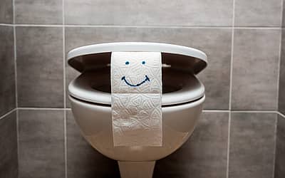 National Toilet Paper Day